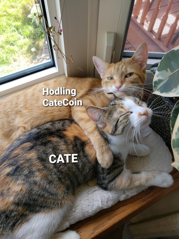 Buy and hodl Catecoin into 2022.