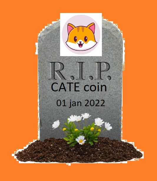 RIP CATEcoin 2022 to th grave