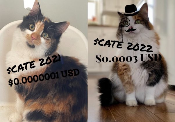 Soon to the moon with these Fat Top-hat Cats with CATCoin