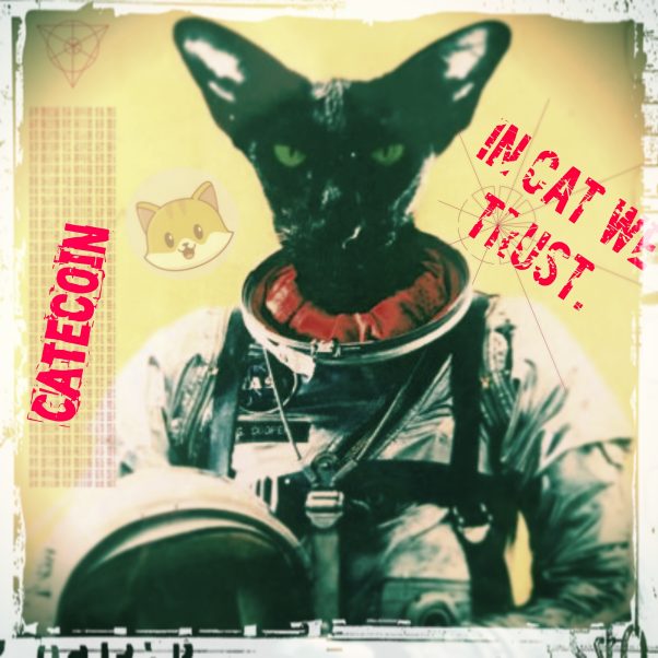 AstroCate: In Cat We Trust