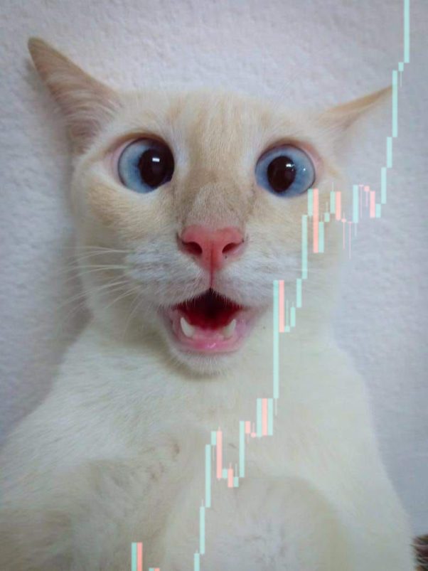 Seeing Chart In CateCoin