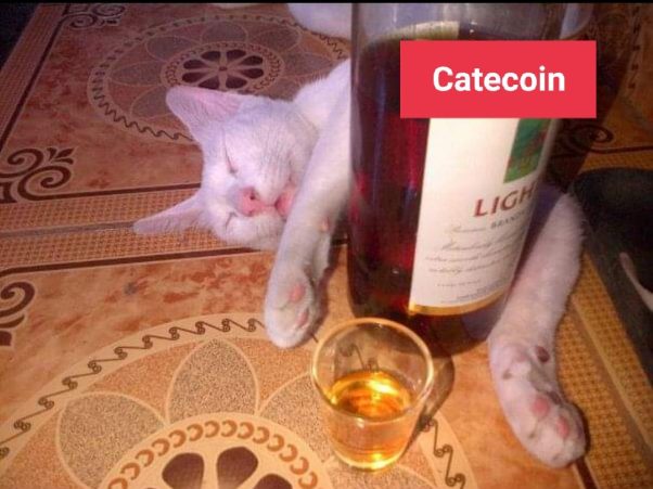 When you get drunk of Cate
